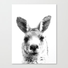 Black and white kangaroo Canvas Print