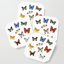 Butterflies in the world Coaster