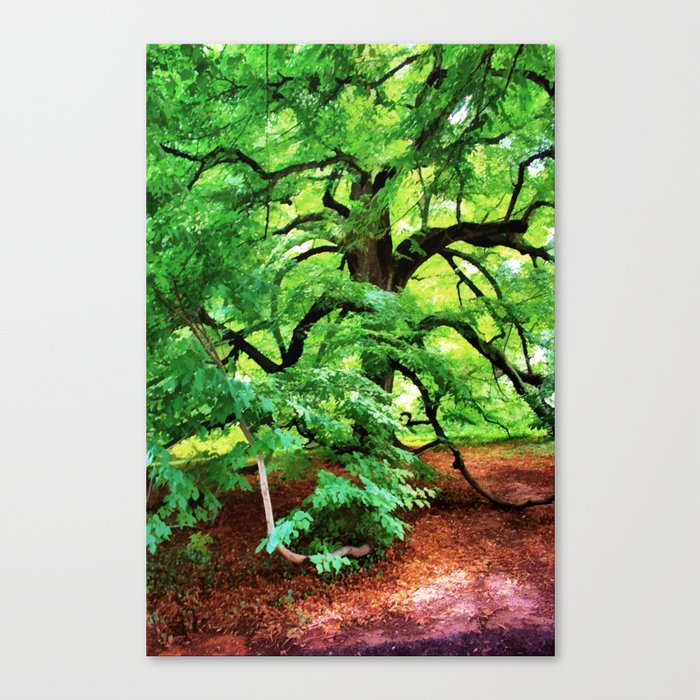 Century Oak Tree Canvas Print By Judypalkimas Society6