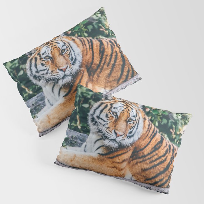 Majestic Tiger Sitting On A Rock Photography Pillow Sham