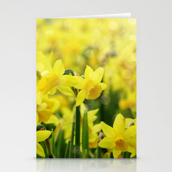 Bright Yellow Narcissus Stationery Cards