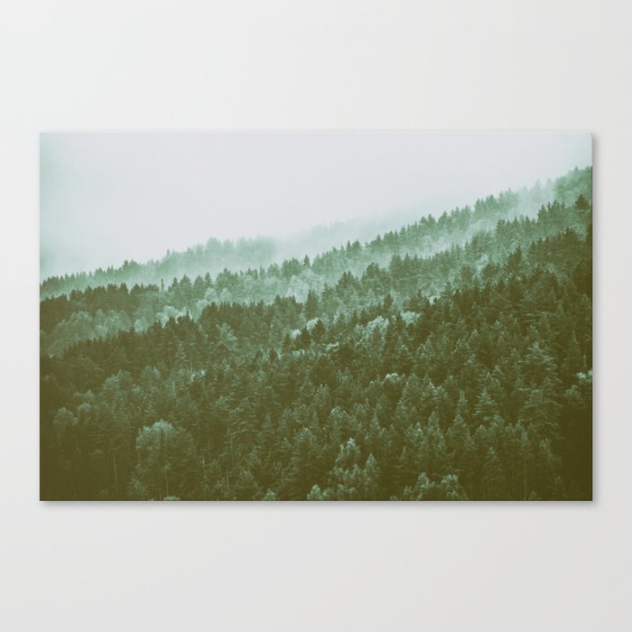 Forest in the fog Canvas Print