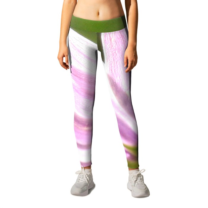 Pink African Daisy in the Light Leggings