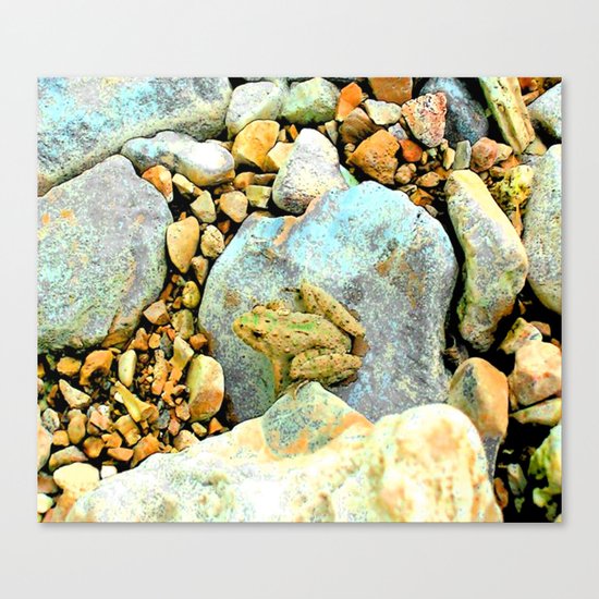 Summer Time Frog Canvas Print