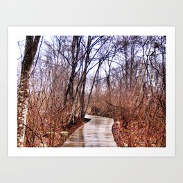 Hushed Art Print