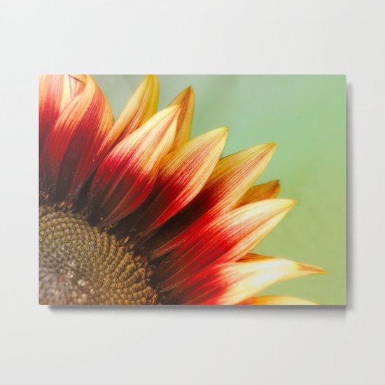 Sunflower Metal Print