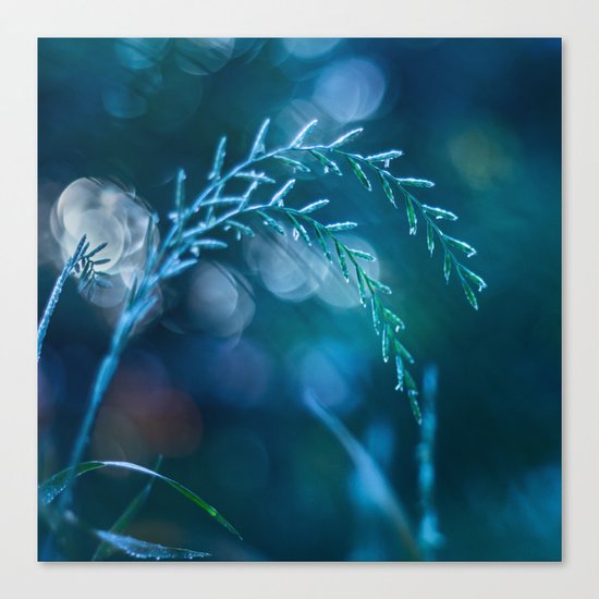 Cold December Canvas Print