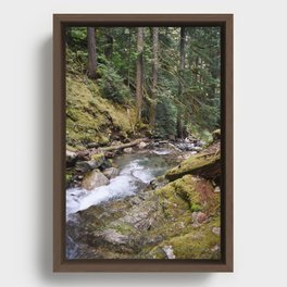 Creek Forest Landscape Nature Outdoors Washington Pacific Northwest Hiking Geology Mossy Rocks Framed Canvas