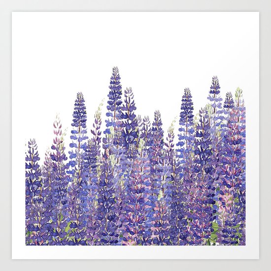 Just Lupine Art Print