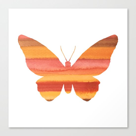 Butterfly color Canvas Print