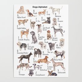 Dogs Alphabet Poster