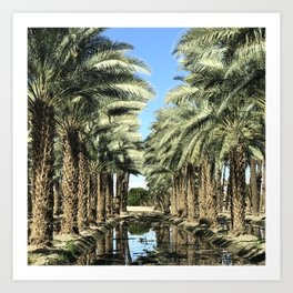 Rows Of Exotic Palm Trees In Desert Oasis Art Print
