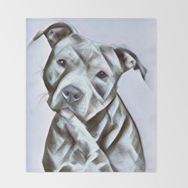 society6