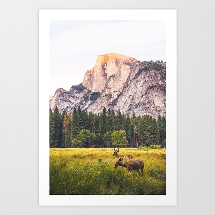 Mountain National Park Art Print