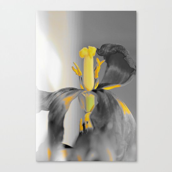 #173 Canvas Print