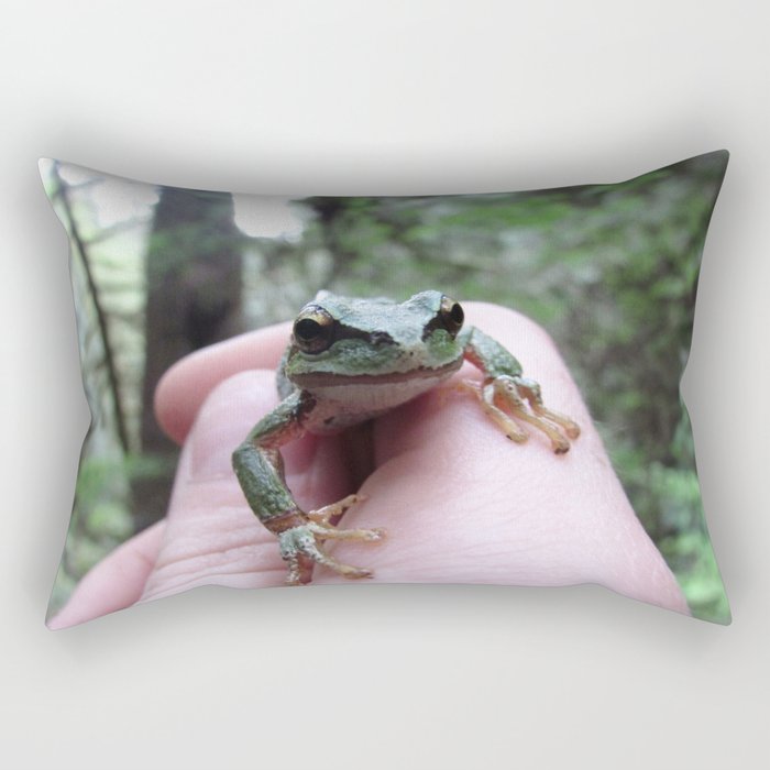 Frog Friend Rectangular Pillow