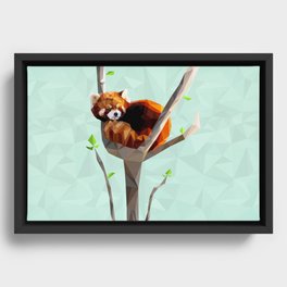 Red Panda Framed Canvas