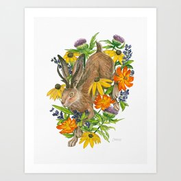 Jackalope Wildflower Florals Art Print