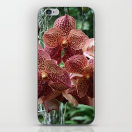 Tropical Flowers Orchids 03 iPhone Skin