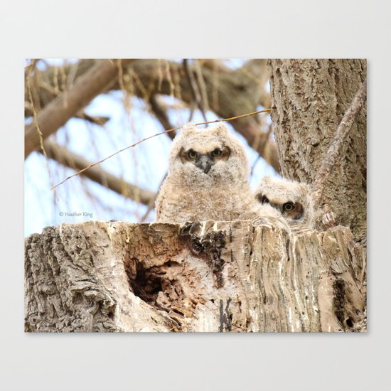 Sibling Espionage Canvas Print