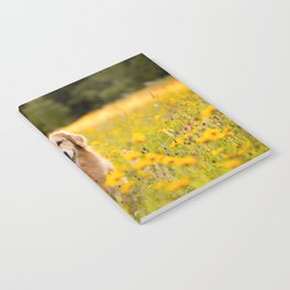 Golden Retriever Field Yellow Flowers Beautiful 168 Notebook