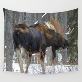 Massive male moose on the loose in Jasper National Park Wall Tapestry