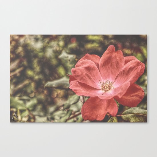 Ever So Inviting Canvas Print