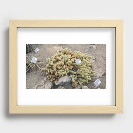 The squiggles Recessed Framed Print