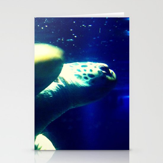 Turtle Stationery Cards