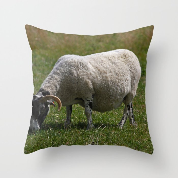 Sheep Baaaaa... Throw Pillow