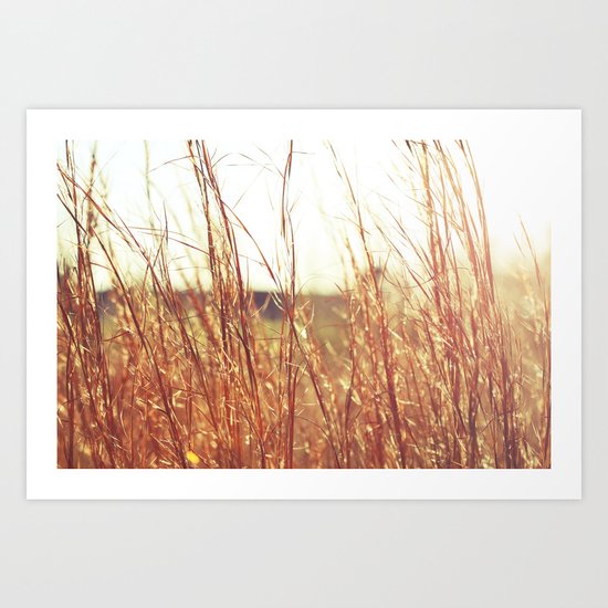 Golden Grass Art Print