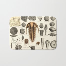 Fossil Chart Bath Mat | Rustic, Naturalhistory, Museum, Oddities, Poster, Drawing, Print, Trilobite, Decor, Art 
