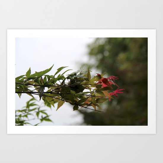 Transition Art Print