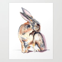 Cottontail Rabbit Art Prints For Any Decor Style Society6