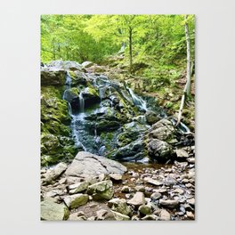 Waterfall in the Valley Canvas Print