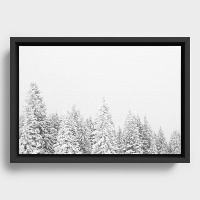 Snowy Evergreen Forest Framed Canvas
