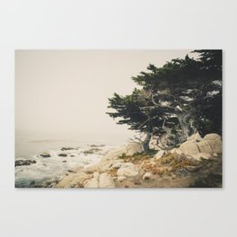 Carmel by the Sea Canvas Print