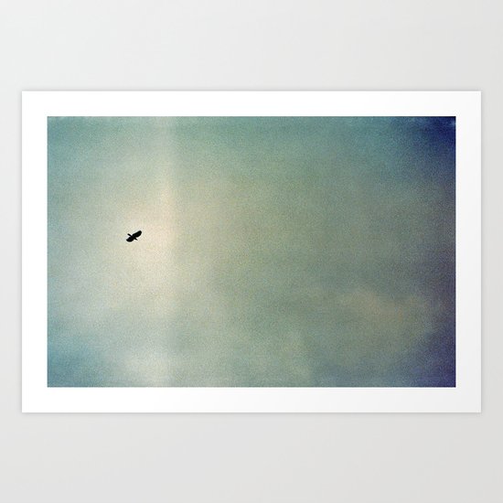 Fly Art Print