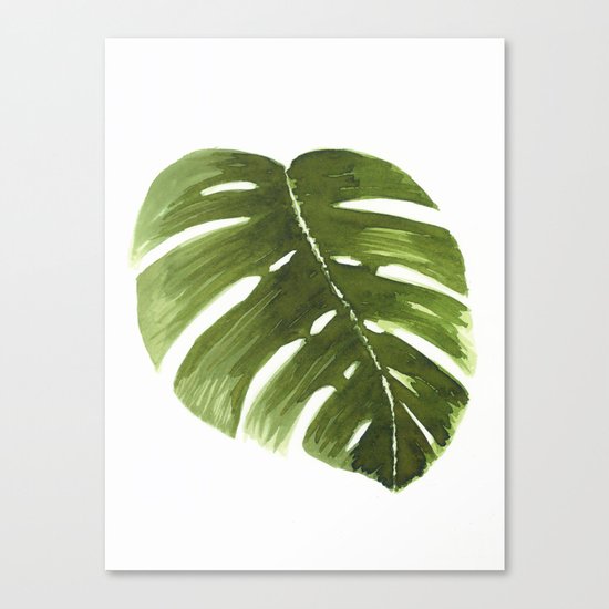 Nature leaves I monstera Canvas Print