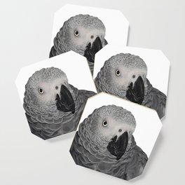 African Grey Parrot Coaster