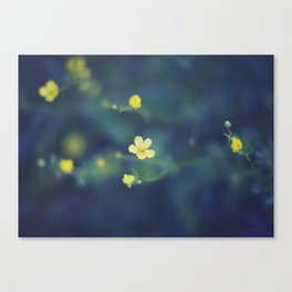 yellow wildflowers Canvas Print