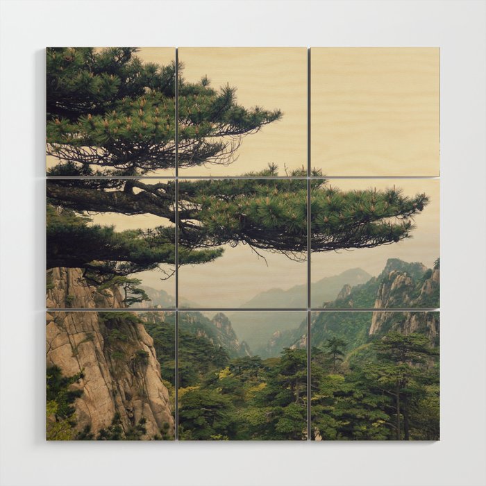 China Photography - Forest Covering Hills And Mountains Wood Wall Art