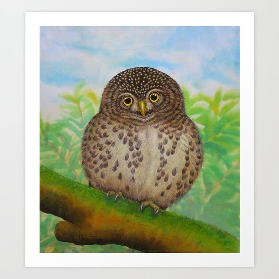 Collared Owlet Art Print