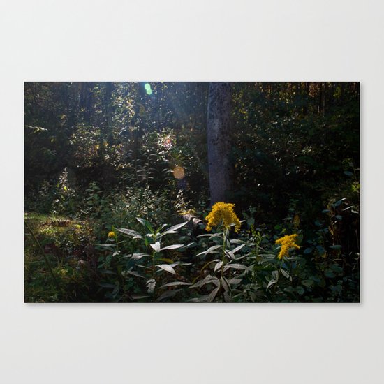 Cynefin. Canvas Print