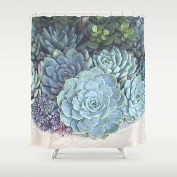 Succulent Container Shower Curtain