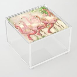 Flamingos in the Winter Acrylic Box