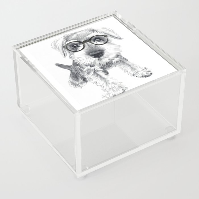 Nerdy Schnozz Acrylic Box
