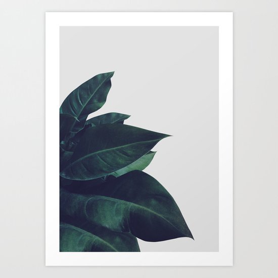 Enlighten Art Print