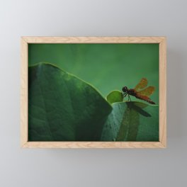 dragonfly Framed Mini Art Print