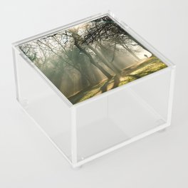 Winter Park Acrylic Box
